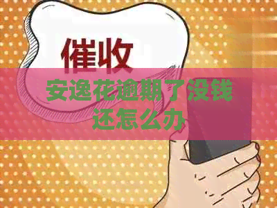 安逸花逾期了没钱还怎么办