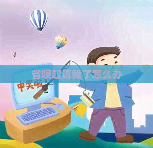 省呗起诉我了怎么办