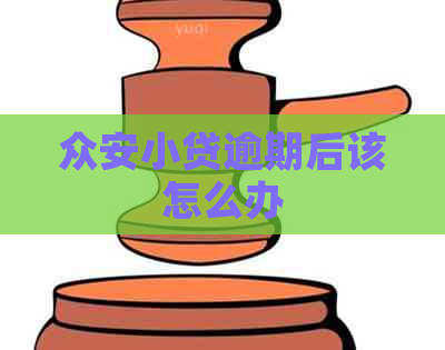 众安小贷逾期后该怎么办