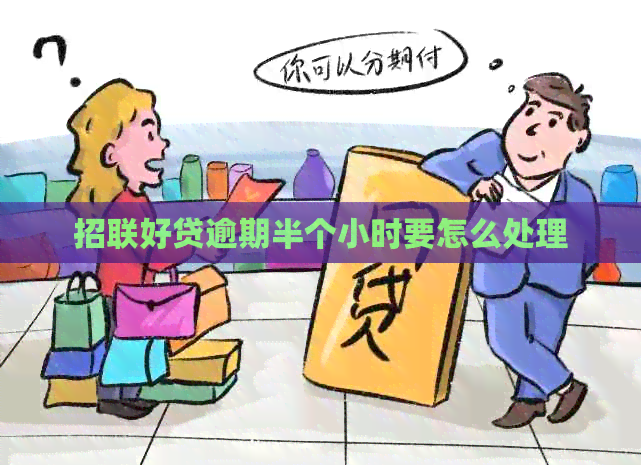 招联好贷逾期半个小时要怎么处理