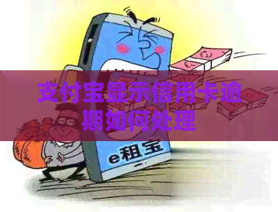 支付宝显示信用卡逾期如何处理