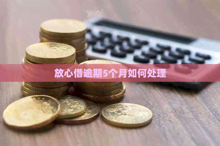 放心借逾期5个月如何处理