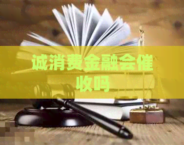 诚消费金融会吗