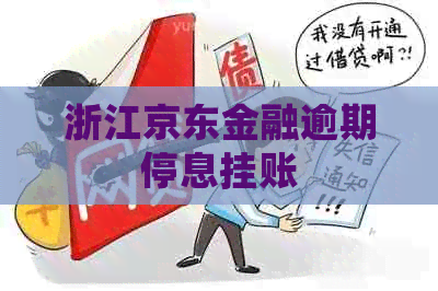 浙江京东金融逾期停息挂账