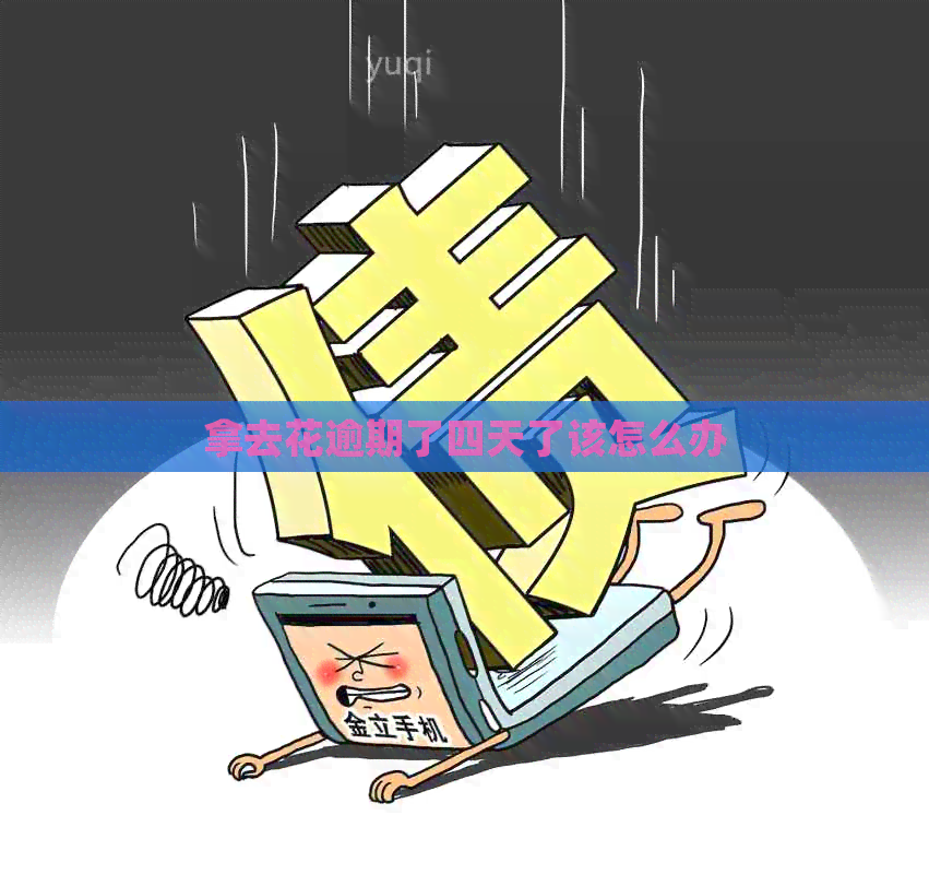 拿去花逾期了四天了该怎么办