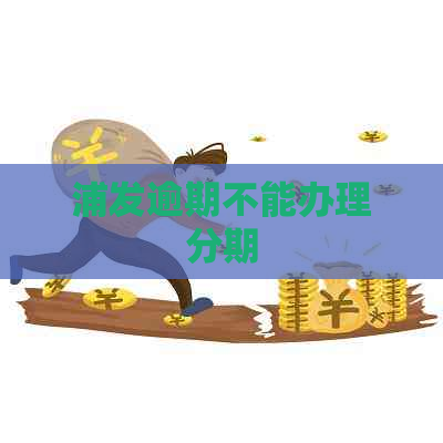 浦发逾期不能办理分期