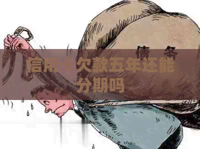 信用卡欠款五年还能分期吗