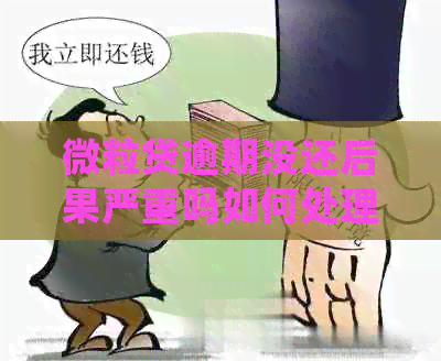 微粒贷逾期没还后果严重吗如何处理