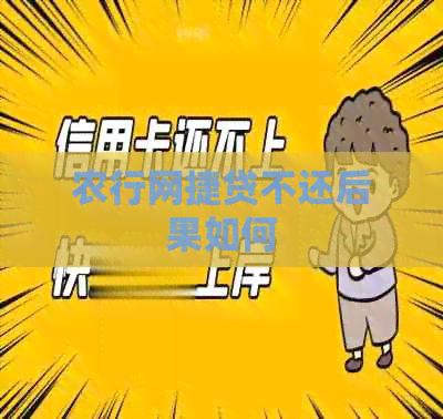 农行网捷贷不还后果如何
