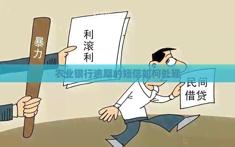 农业银行逾期的短信如何处理
