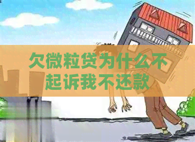 欠微粒贷为什么不起诉我不还款