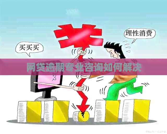 网贷逾期专业咨询如何解决