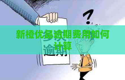 新橙优品逾期费用如何计算