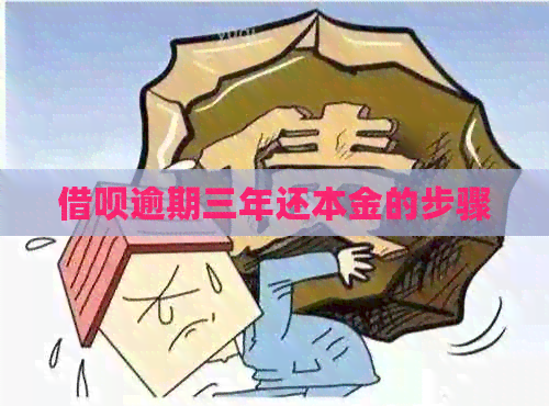 借呗逾期三年还本金的步骤