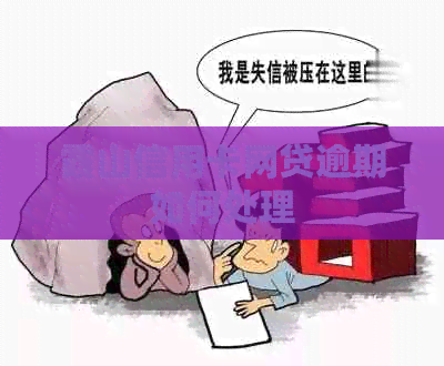 霞山信用卡网贷逾期如何处理