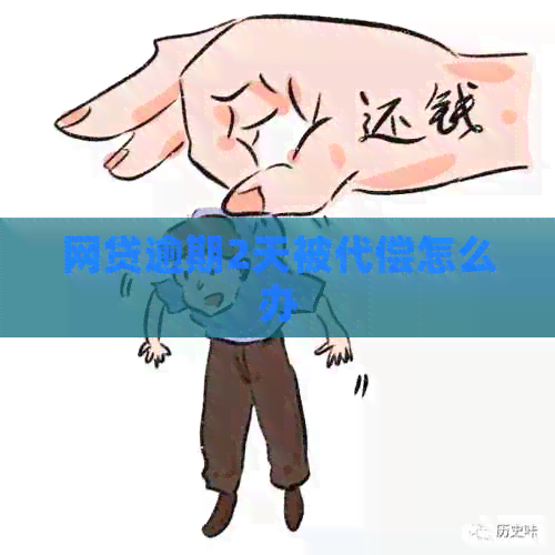 网贷逾期2天被代偿怎么办