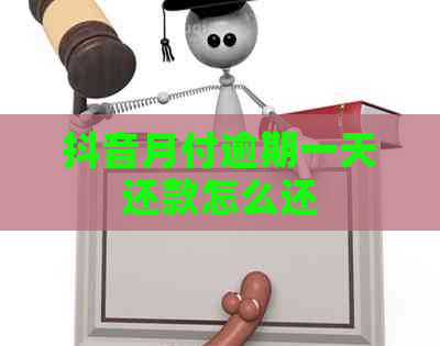 抖音月付逾期一天还款怎么还