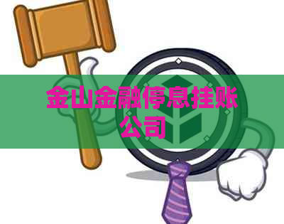 金山金融停息挂账公司