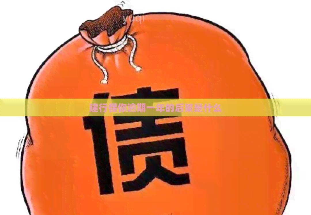 建行懂你逾期一年的后果是什么