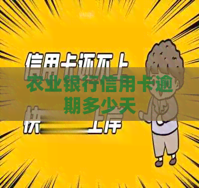 农业银行信用卡逾期多少天
