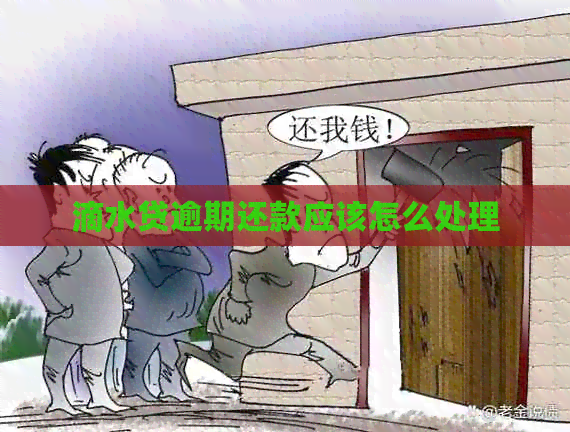 滴水贷逾期还款应该怎么处理