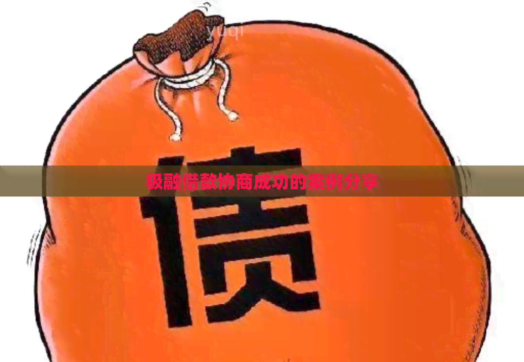 极融借款协商成功的案例分享