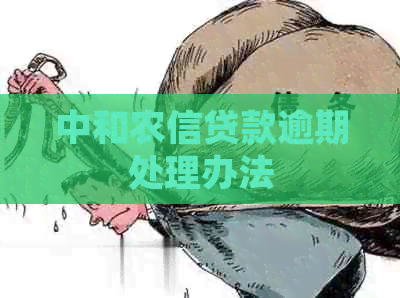 中和农信贷款逾期处理办法