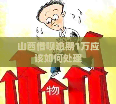 山西借呗逾期1万应该如何处理