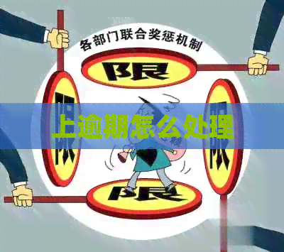 上逾期怎么处理