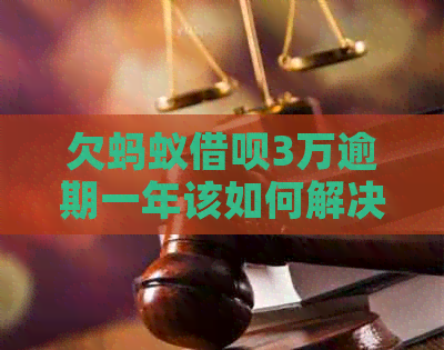 欠蚂蚁借呗3万逾期一年该如何解决
