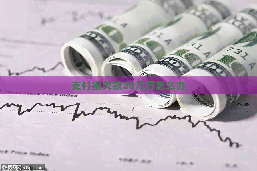 支付宝欠款20几万怎么办