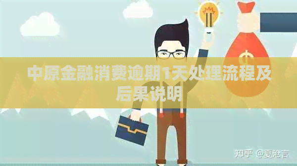 中原金融消费逾期1天处理流程及后果说明