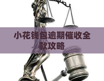 小花钱包逾期全款攻略