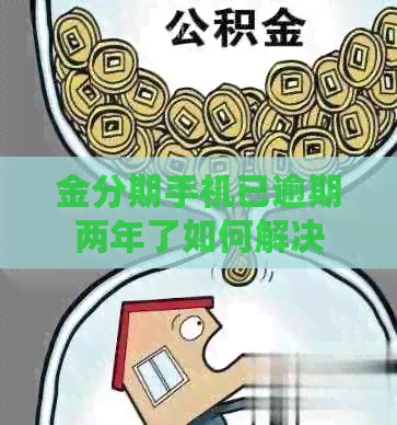 金分期手机已逾期两年了如何解决