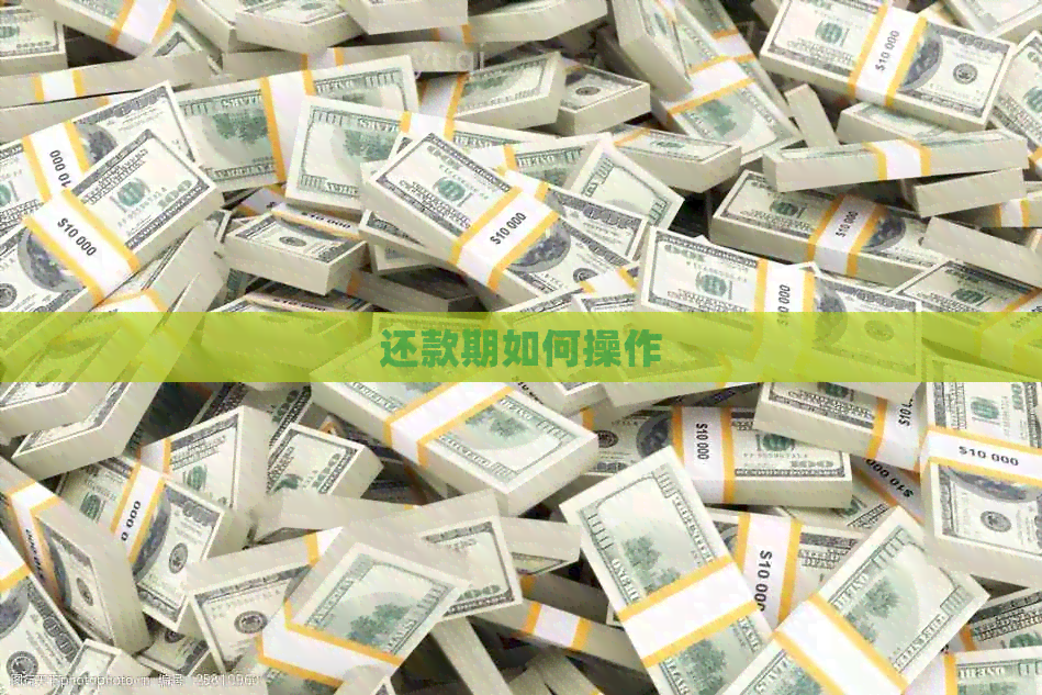 还款期如何操作