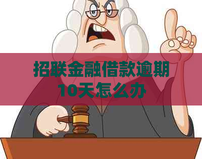 招联金融借款逾期10天怎么办