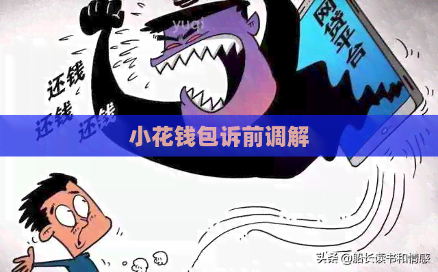 小花钱包诉前调解