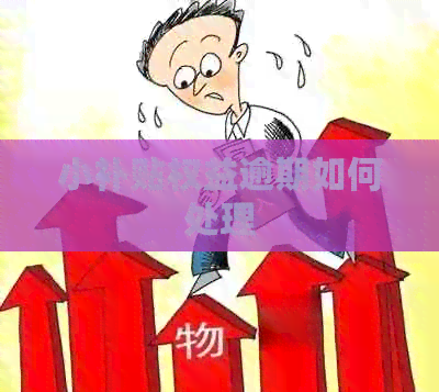 小补贴权益逾期如何处理