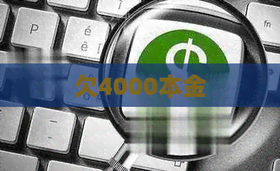 欠4000本金