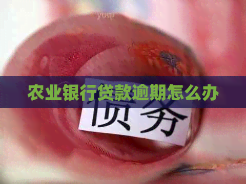 农业银行贷款逾期怎么办