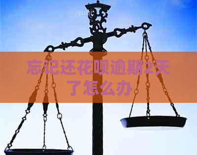 忘记还花呗逾期2天了怎么办