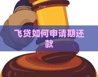 飞贷如何申请期还款