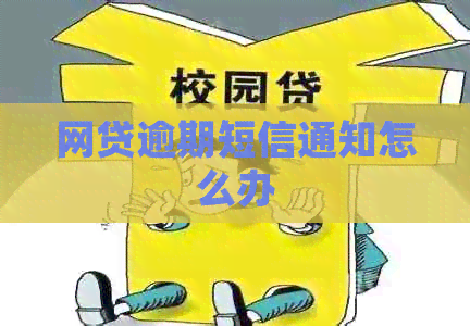网贷逾期短信通知怎么办