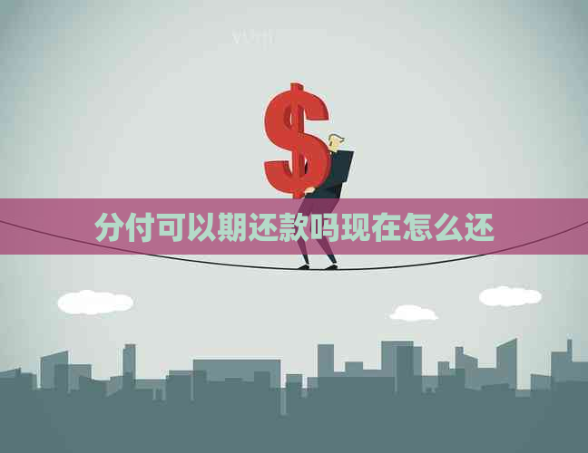 分付可以期还款吗现在怎么还