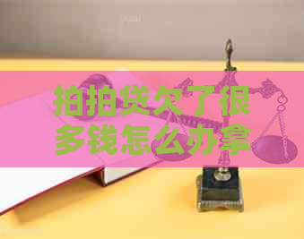 欠了很多钱怎么办拿不到钱怎么办