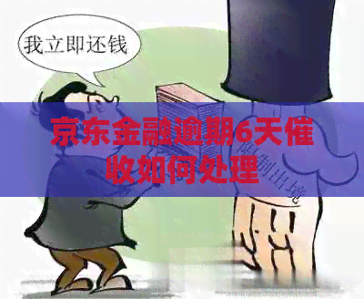 京东金融逾期6天如何处理