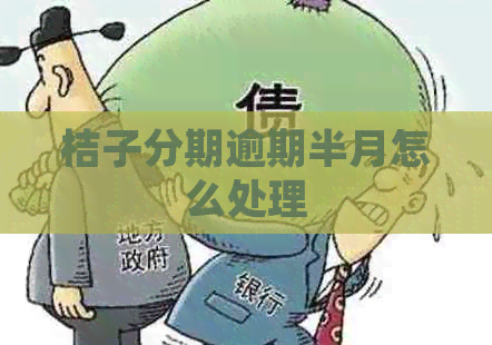 桔子分期逾期半月怎么处理
