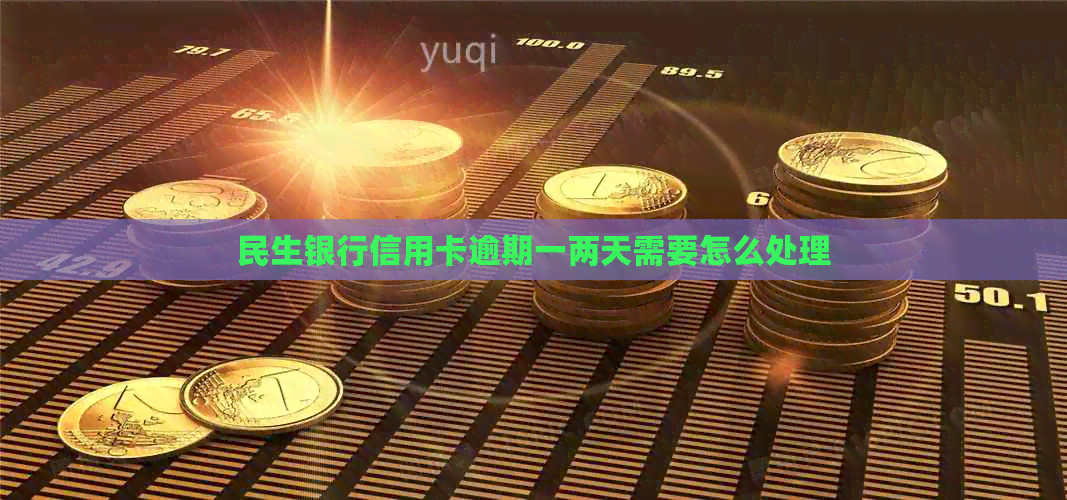 民生银行信用卡逾期一两天需要怎么处理
