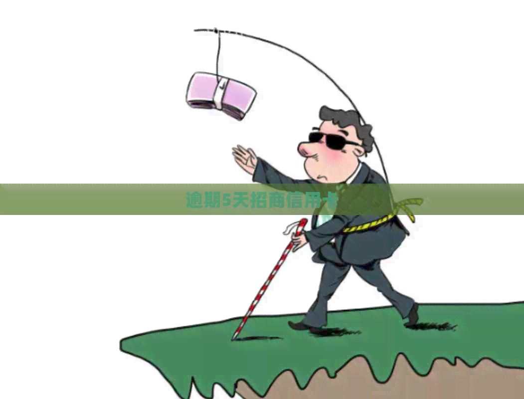 逾期5天招商信用卡