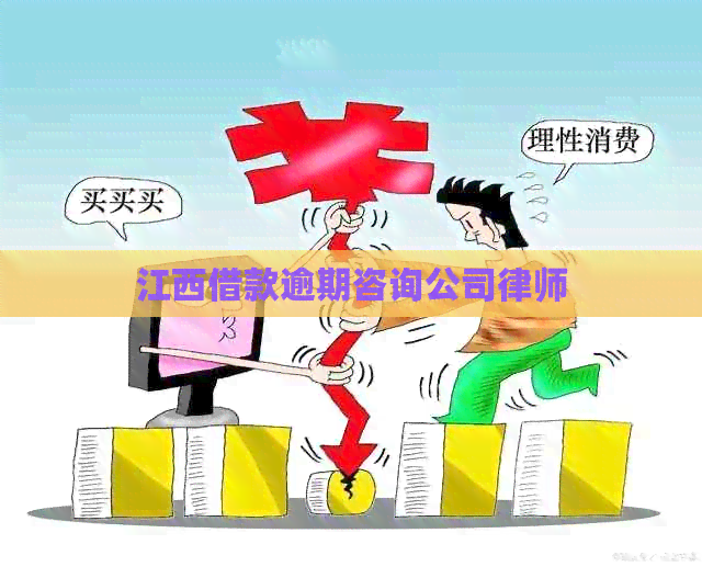 江西借款逾期咨询公司律师